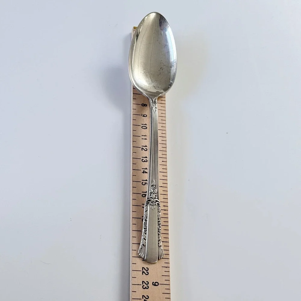 WM Rogers Treasure 1940 Overlaid IS Silverplate Dinner Spoon 8 3/4